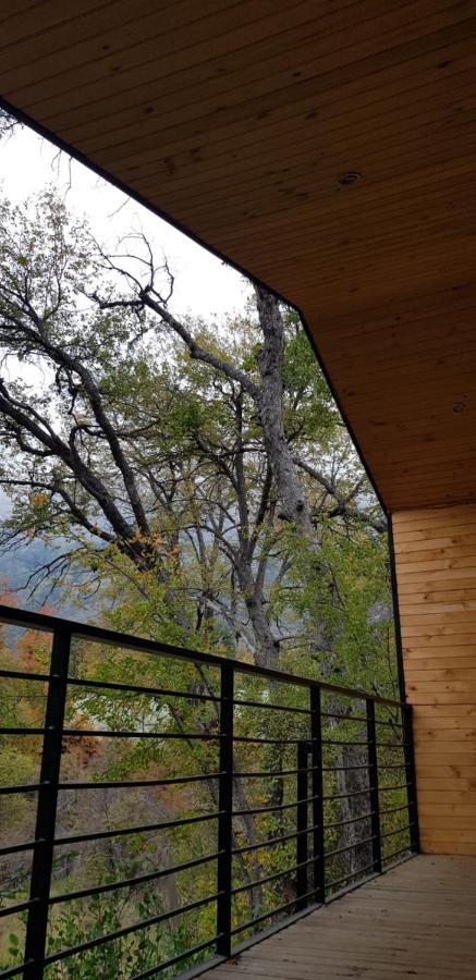 Vivelodge Valle Las Trancas Exterior foto